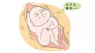 「大胖娃娃」隱患多多，不做漏網之魚，孕期糖尿病篩查不可缺！