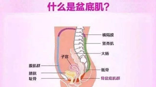 盆底肌的隱形傷害代代傳，這樣的「犧牲」不能要