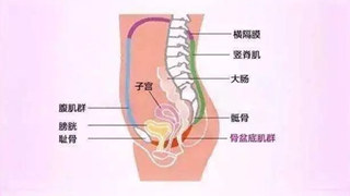 盆底肌損傷不是產後媽媽專屬，這些習慣也會讓盆底「受傷」